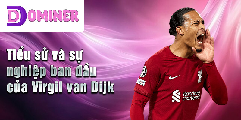 Tiểu sử và sự nghiệp ban đầu của Virgil van Dijk