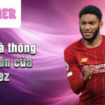 Tiểu sử và thông tin cá nhân của joe gomez