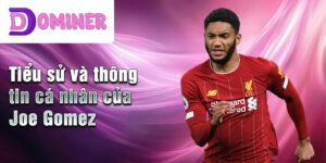 Tiểu sử và thông tin cá nhân của joe gomez