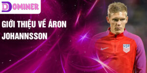 Giới thiệu về Áron Johannsson