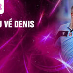 Giới thiệu về Denis Vavro