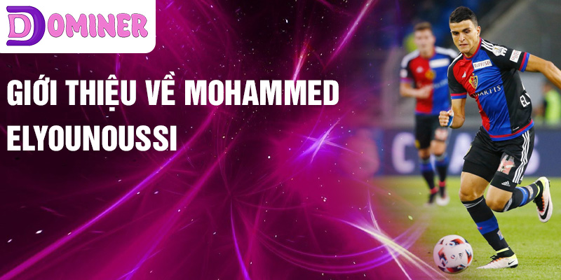 Giới thiệu về Mohammed Elyounoussi