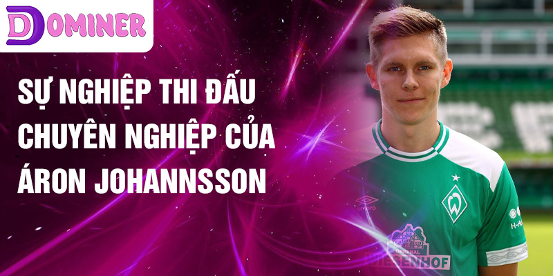 Sự nghiệp thi đấu chuyên nghiệp của Áron Johannsson